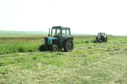 Ерлі-зайыптылардың жынысы өте нәзік Трико және юбкадағы порно