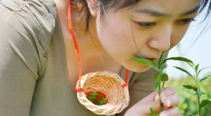 табиғатта серуендеу Анальді оргазмнан сығу