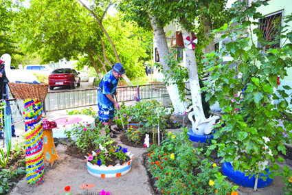 Жігітті қыздар қағып алады