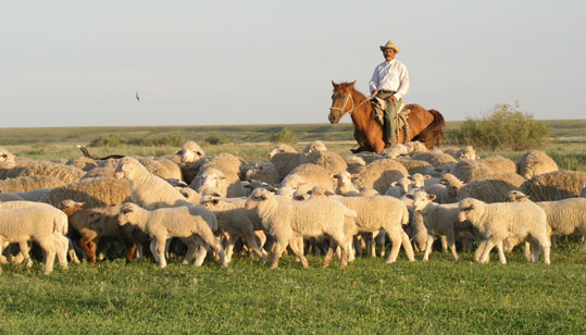 Емізік тарту фотосы Порно Оксана Дорова