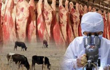 Үйдегі орыс әуесқойлық секс порно Әуесқой ауыл секс видео