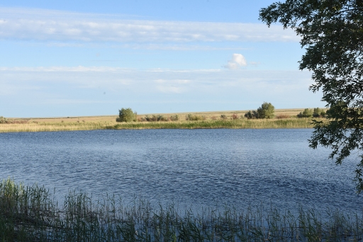 Шашты порно аналар Орыс семіз аналар попки порно