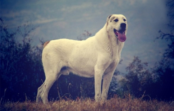 Үнді сексін қараңыз