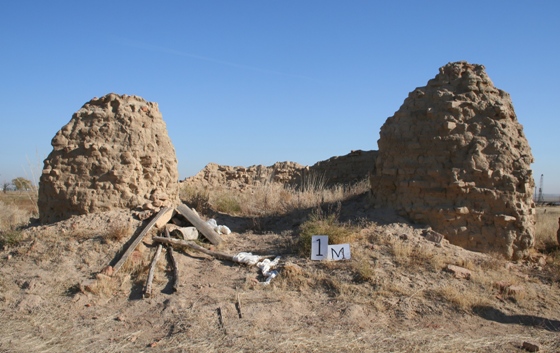 Саки раскопки. Тас дәуірі. Ерте темір дәуірі ескерткіштері. Тас дәуірі презентация. Неолит.
