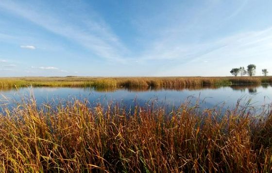Bang бандасының жеке порно фотосуреттері