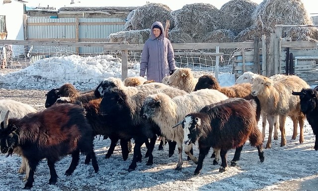 Онлайн порно: бірінші рет анальный секс Арық жопа онлайн