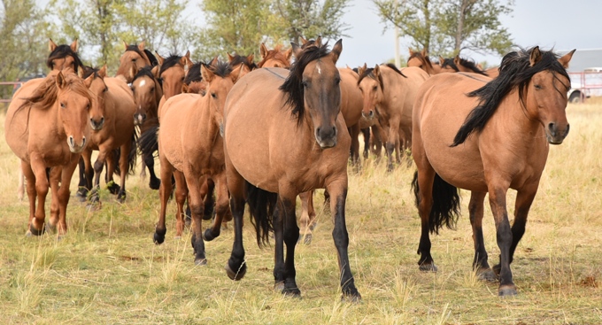 Мен презерватив киіп жатқанда келдім.