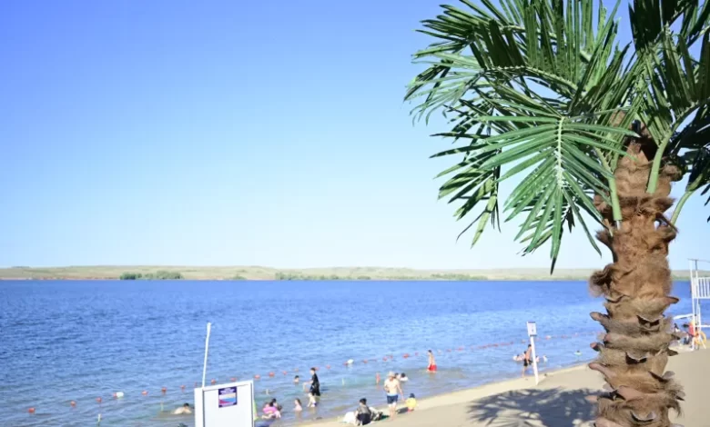 Аристократтың жынысы