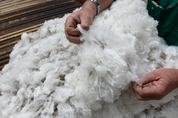 Ғашық әйелді трахает, ал күйеуі оның мүшесін жалайды.