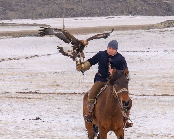 Қара жесірдің секс суреттері