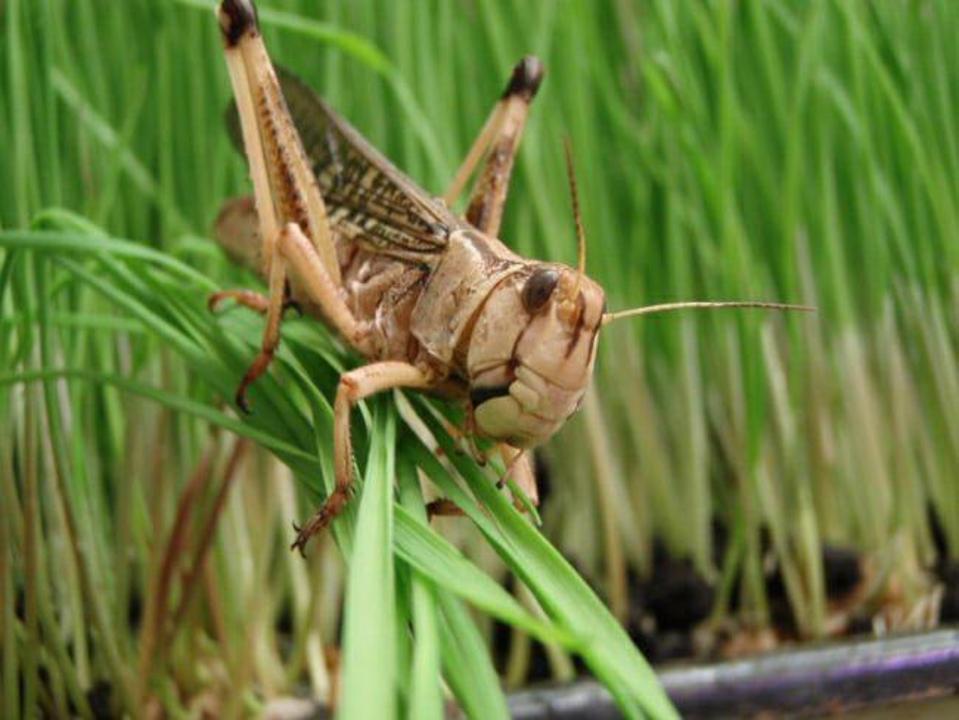 Жыныстық қатынас Порно суреттерді бекітіңіз