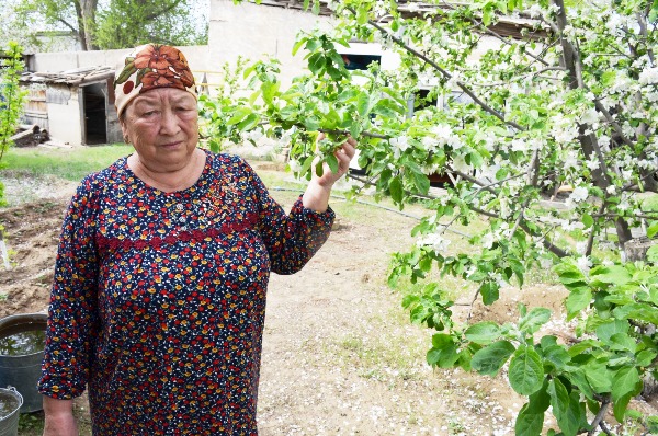 Ferro Network-тегі орыс жетілген порно