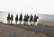 Үлкен жопы бар жалаңаш жетілген әйелдер