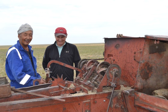 Нағыз шабындық Нағыз шабындық